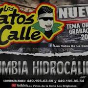 Cumbia Hidrocalida Los Vatos De La Calle