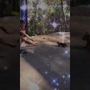 С Добрым Утром Новым Днём