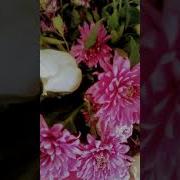 С Днём Рождения Моя Милая И Дорогая Свекровь