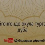 Ойгонгондо Окуулучу Дуба