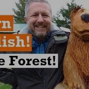 Let S Learn English In The Forest In The Fall Autumn English Video