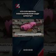 Казахстанские Новости