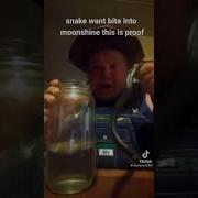 Moonshine Meme