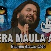 Nadeem Sarwar 2020