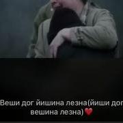 Вешина Дешнаш Йишегар