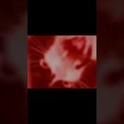 Кот Орет Минус Уши