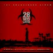 28 Days Later Soundtrack In The House In A Heartbeat