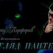 Взгляд Пантеры Влад Парфиров