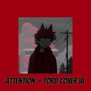 Attention Tord Cover Ia