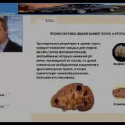 Урологические Сборы Дмитрий Дергачев