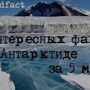 13 Интересных Фактов Об Антарктиде За 5 Минут Познавательно И