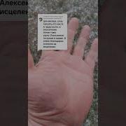 Мелодия Колдовства