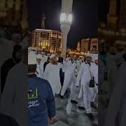 Умра Хадж Нашиды Саляту Салям