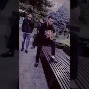 Плащюн Цыган Поёт