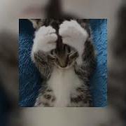 Мейби Бейби Nya Nya Nya W Sped Up