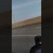 Дални Бойщик Узбекистан