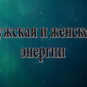 Мужская И Женская Энергии Николай Пейчев Академия Целителей