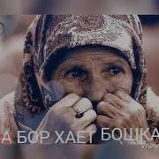 Дунени Титрадган Шер Она Хакида Dunyoni Titradgan Sher Ona Haqida