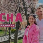 Весна Вновь Наш Край Посетила