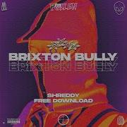 Brixton Bully Shreddy