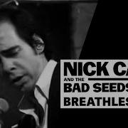 Nick Cave And The Bad Seeds Breathless Peaky Blinders Ost