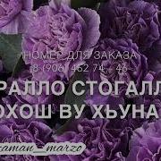 Къонахчун Х1Ора Дош Масал Ду Хьуна