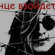 Луч Солнца Золотого Летов