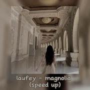 Magnolia Speed Up