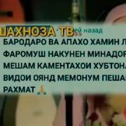 Хабиб Алох