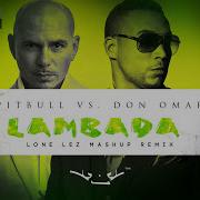 Pitbull Vs Don Omar Lambada Lonelez Remix