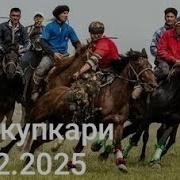 Сух Улок Купкари Uloq Kupkari Sux