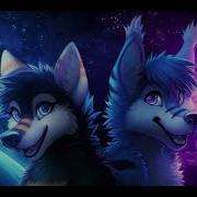 Furry Counting Stars