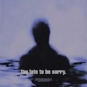 Too Late To Be Sorry Slowed Reverb Cxsmpx