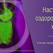Настрой Сытина На Оздоровление Желудка С Модулями Шакаева