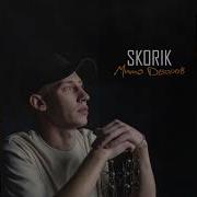 Skorik Мимо Дворов