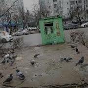 Растаял Снег Текут Ручьи