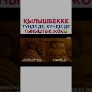 Келинжан Шыгар Ана Кылышынды