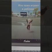 Эта Сладкая Жизнь Как Клубника В Шоколаде