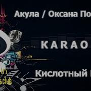 Акула Кислотный Dj Караоке Песня