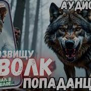 Аудиокнига Попаданцы По Прозвищу Волк