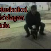 Mushukni Zo Rlagan Bola Мушукни Зорлаган Бола