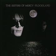 Lucretia My Reflection Vinyl Version New Version For Digital The Sisters Of Mercy