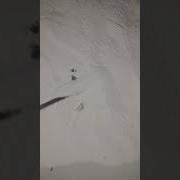 Ползет Сука