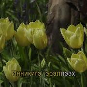 Таптыаҕыҥ Ийэни Минус