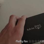 Fluffy Fox Magic Wallet Lucky