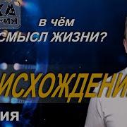 Смысл Моей Пошлой Жизни
