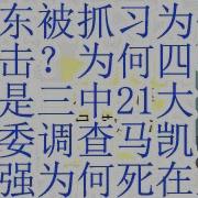 何卫东被抓 习为何不反击 习为何不救何卫东 习为什么四中下不是三中或21大 中纪委调查前副总理马凯 申长友和李克强为什么死在上海
