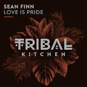 Love Is Pride Extended Mix От Sean Finn