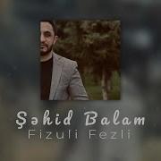 Sehid Balam