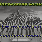 Полосатая Жизнь Караоке